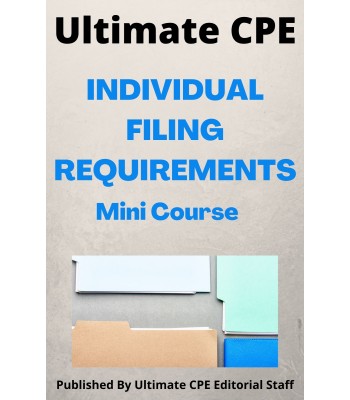 Individual Filing Requirements 2024 Mini Course